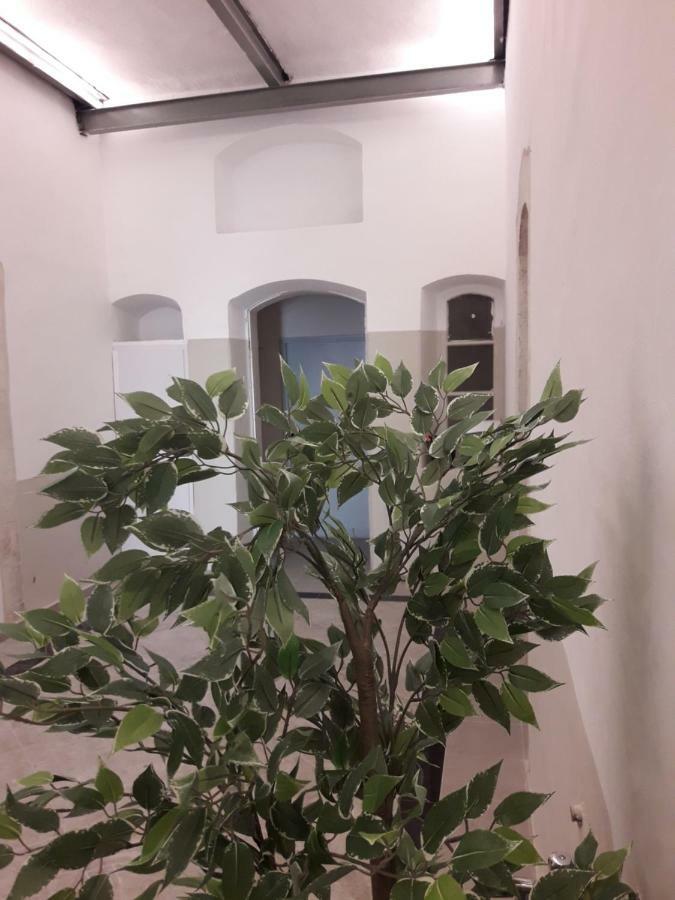 القدس Queen Hotel المظهر الخارجي الصورة